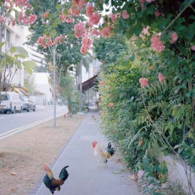 天天彩票app安卓版