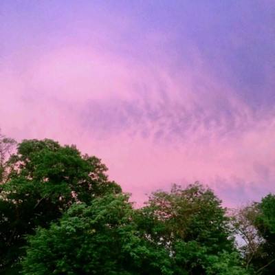 网赌爱游戏截图